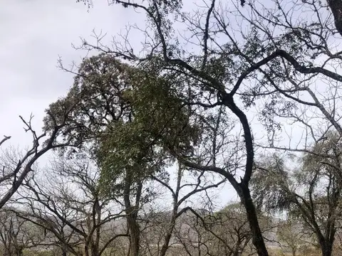 TERRENO EN VERTIENTES