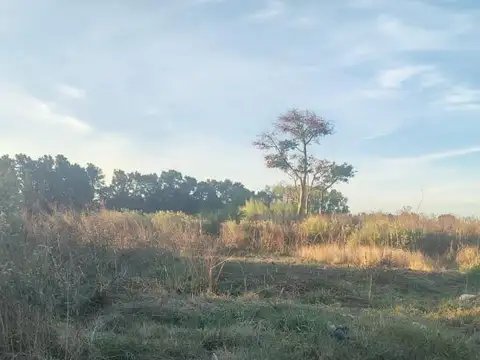 Terreno en Venta 85  mts Fondo