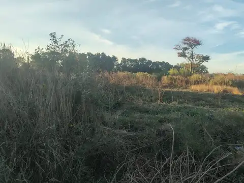 Terreno en Venta 50  mts Frente