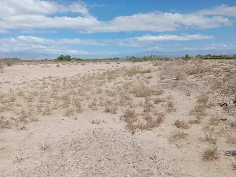 Angualasto