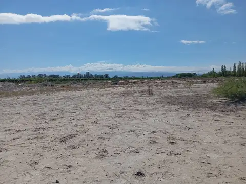 Angualasto