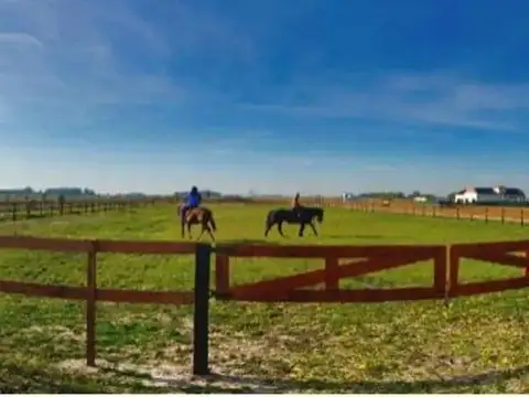Campos de La Enriqueta