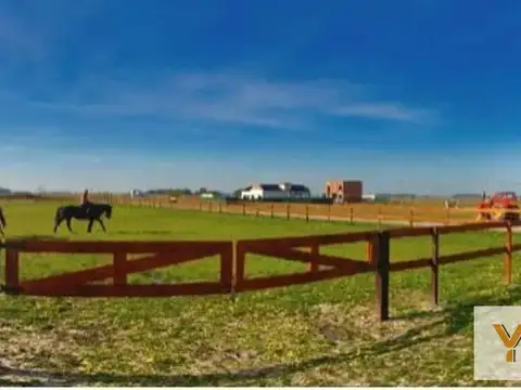 Campos de La Enriqueta