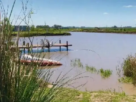 Campos de La Enriqueta