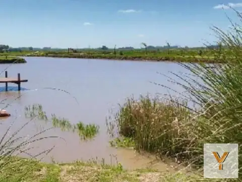 Campos de La Enriqueta