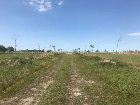 Terreno en venta - 700 mts2 - Campos de La Enriqueta