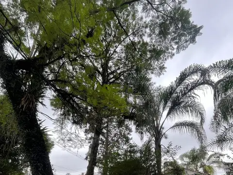 Casa en Alquiler con 2 cocheras