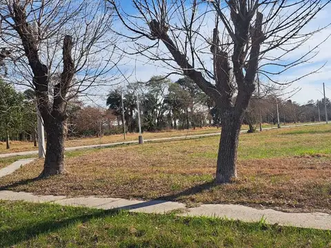 Terreno en Venta 15  mts Frente