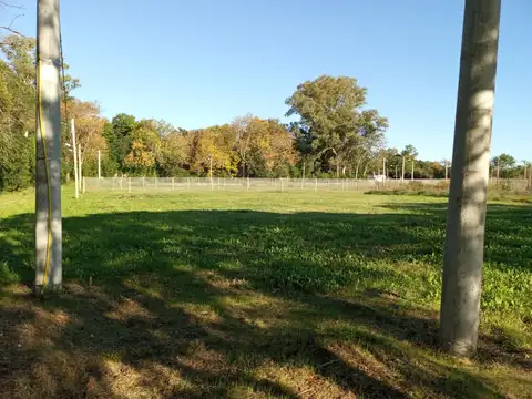TERRENO EN VENTA ARTURO SEGUI PERMUTA