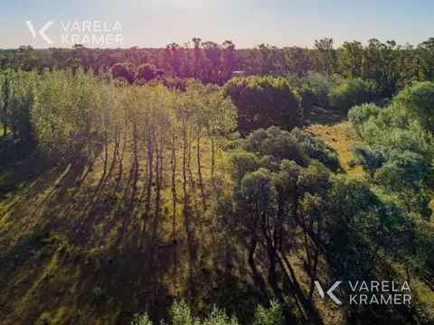Terreno en Venta de 655,0 m2