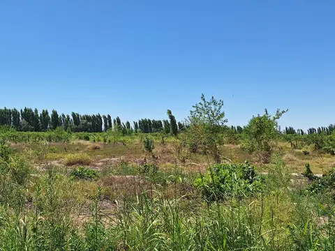 Callejón C. García  El Sauce Guaymallén