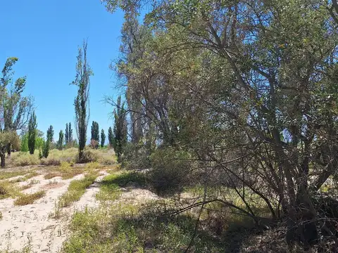 Finca-Terreno en Venta en Guaymallén POZO SURGENTE de agua apta para consumo