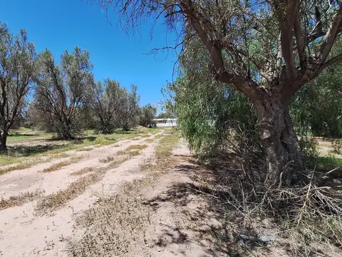Finca-Terreno en Venta en Guaymallén POZO SURGENTE de agua apta para consumo