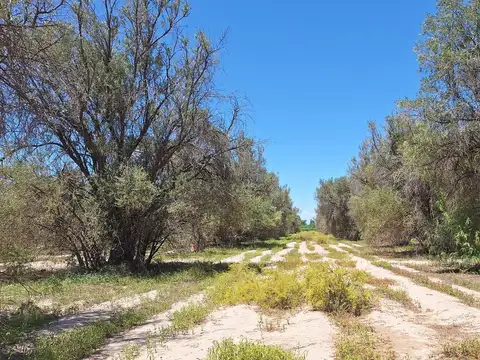 Callejón C. García  El Sauce Guaymallén
