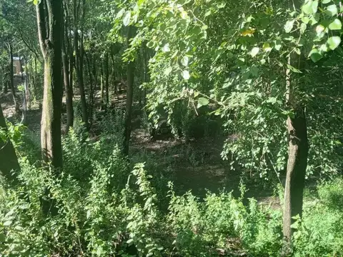 TERRENO EN RIO CEBALLOS