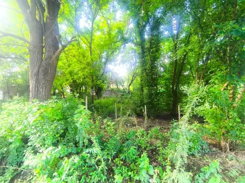 VENTA LOTE TANTI 1150 METROS  CON ESCRITURA