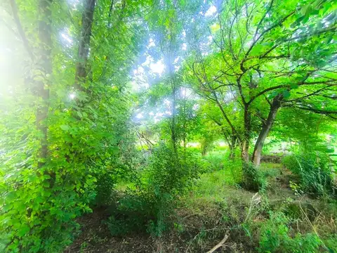 VENTA LOTE TANTI 1150 METROS  CON ESCRITURA