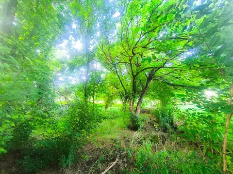 VENTA LOTE TANTI 1150 METROS  CON ESCRITURA