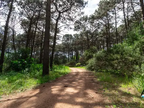Terreno en Venta en Maldonado, USD 390.000