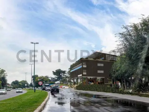 Camino Centenario y 466