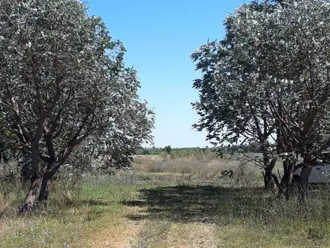 Colectora Norte Ruta 5 Km 84,5