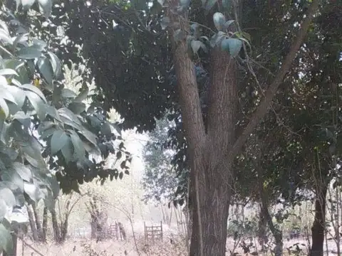 Terreno en Venta de 322,0 m2