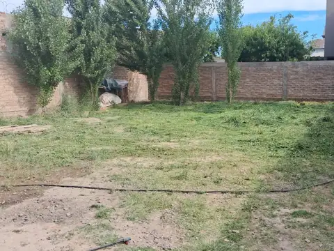 Lamadrid 300