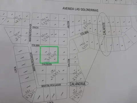 LOTEO QUILQUIHUE- BLOQUE DE CUATRO LOTES