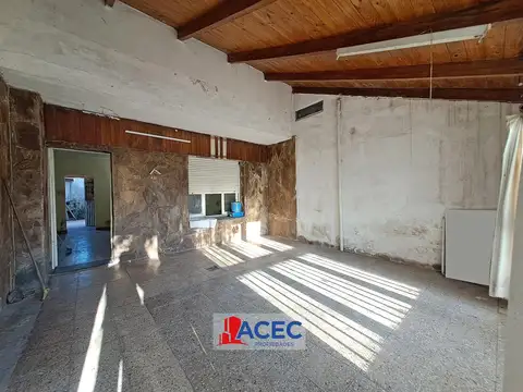 Gonzalez del Solar 400