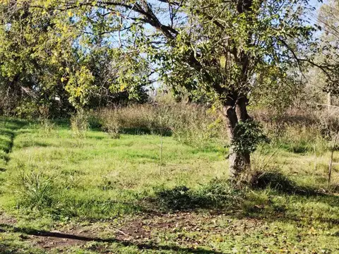 VENTA TERRENO 480 M2 - ZAVALLA - BARRIO PRIMAVERA