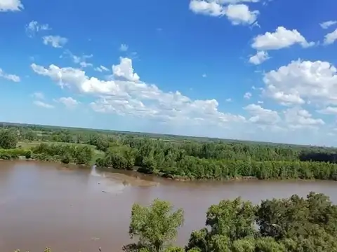 VENTA 26,9 ha en 1ra. Secc. Delta. Apto inversores