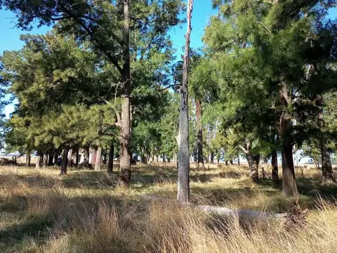 A 15 Km de la Ruta Nº3 y 230 Km de CABA
