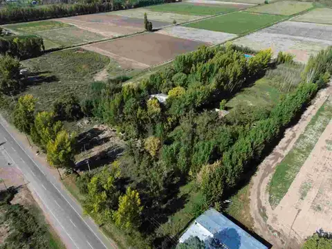 LOTE CARRIZAL SOBRE RUTA 16