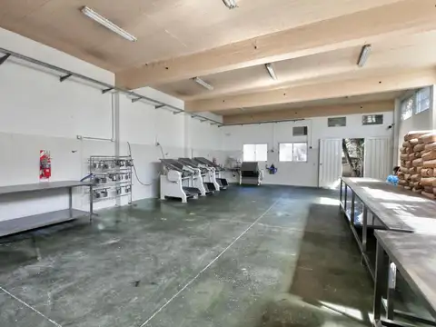 Galpon en Venta en Beccar, USD 425.000