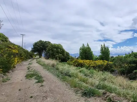 Ruta 40 y Modesta Victoria