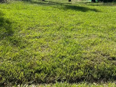 Terreno en Venta en Álvarez Del Bosque, USD 40.000