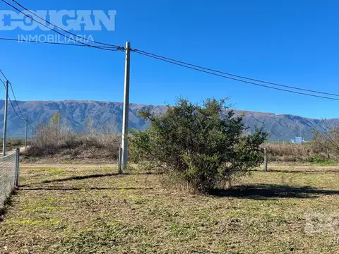 Palo Azul al 1200