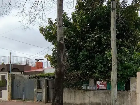 Gral Guido 1500