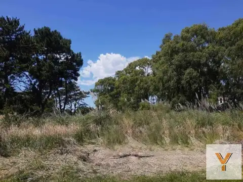 Terrenos en venta - 1034mts2 - Costa Del Este