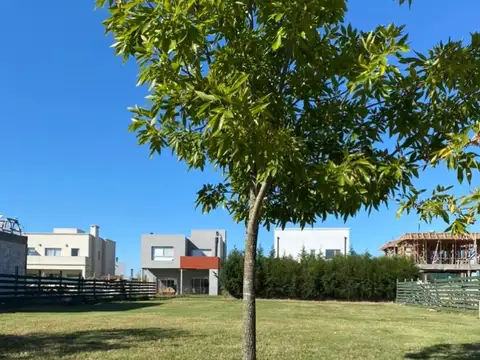 Avenida De Los Lagos  1000