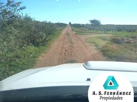 CAMPO APTO FORESTACIÓN / CITRICULTURA/ GANADERIA