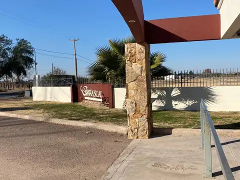 Terreno en Venta en Lujan De Cuyo, USD 58.000