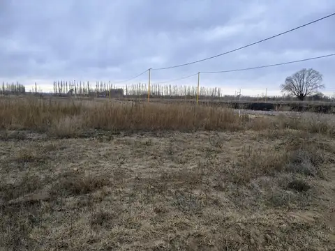 TERRENO EN VENTA - LOTEO LA RUFINA II - CERVANTES
