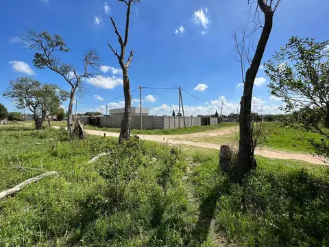 VENTA