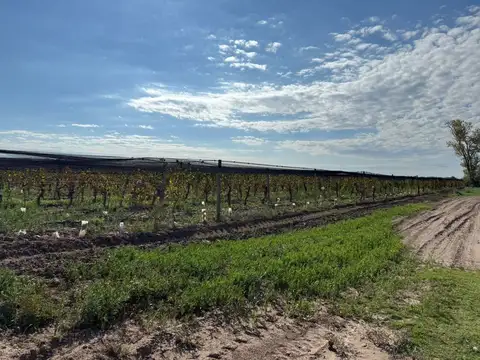 Terreno en Venta de 500000,0 m2