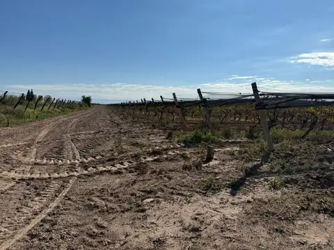 VENTA FINCA EN SANTA ROSA CON POZO