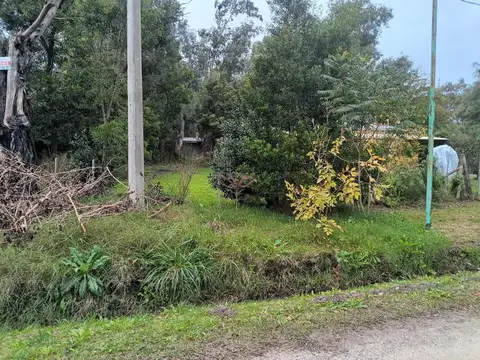 Terreno en Venta 31  mts Frente