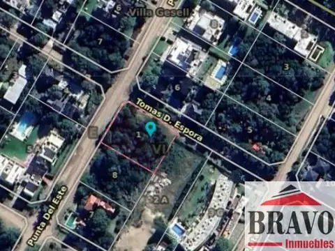 Punta del Este y 28 100