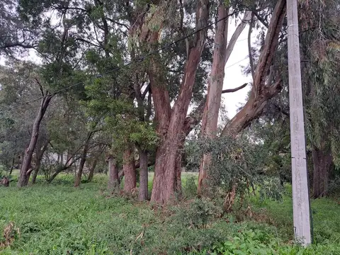 Terreno en Venta en Ignacio Correas Arana, USD 40.000