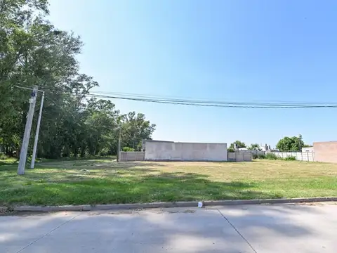 Roberto Cavanagh 200